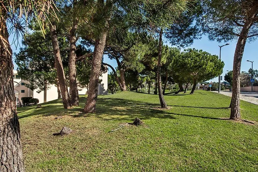 Casa Dos Salgados Apartment Guia